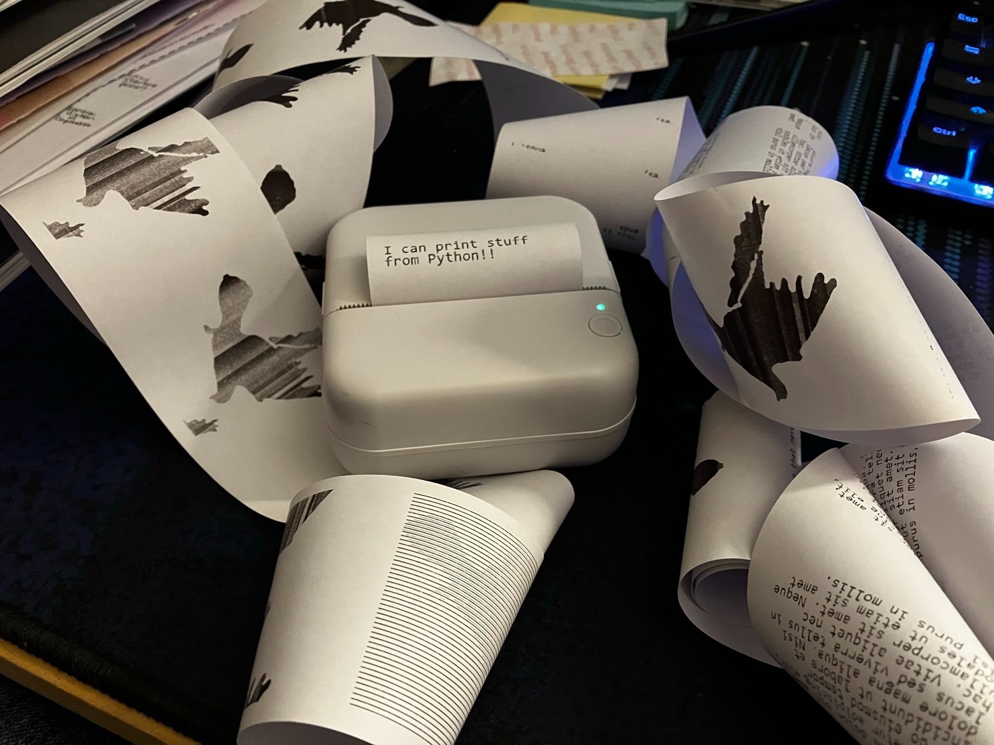 A mini Bluetooth thermal printer that has just printed an "I can print stuff from Python!!" message. A spool of failed prints are surrounding the printer.